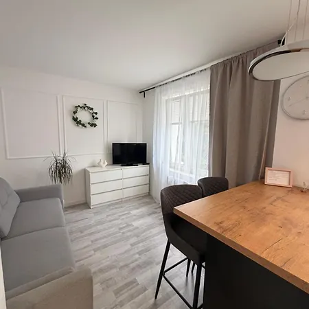 Apartment Modrzewia