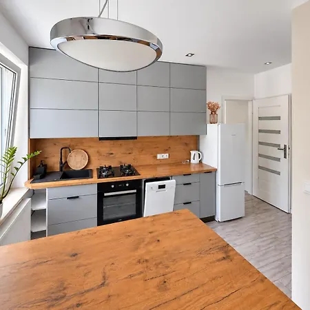 Modrzewia Apartment
